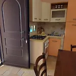 023 E 024 Tulipano Di Salentoinvacanzacom