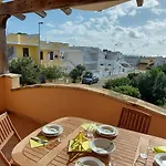 023 E 024 Tulipano Di Salentoinvacanzacom