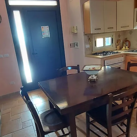 023 E 024 Tulipano Di Salentoinvacanzacom